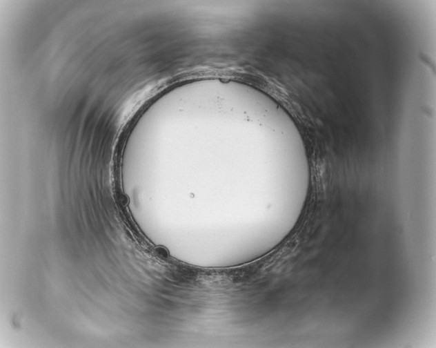 X0000102270340200808151909