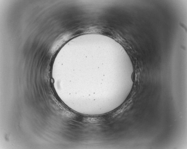 X0000102270341200808151909