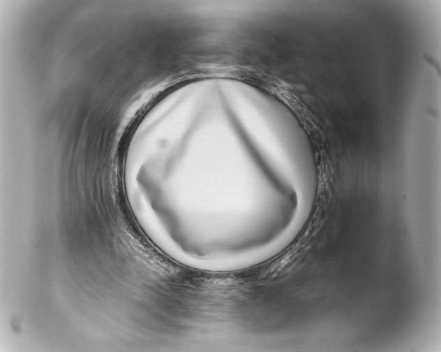 X0000102270342200808151909