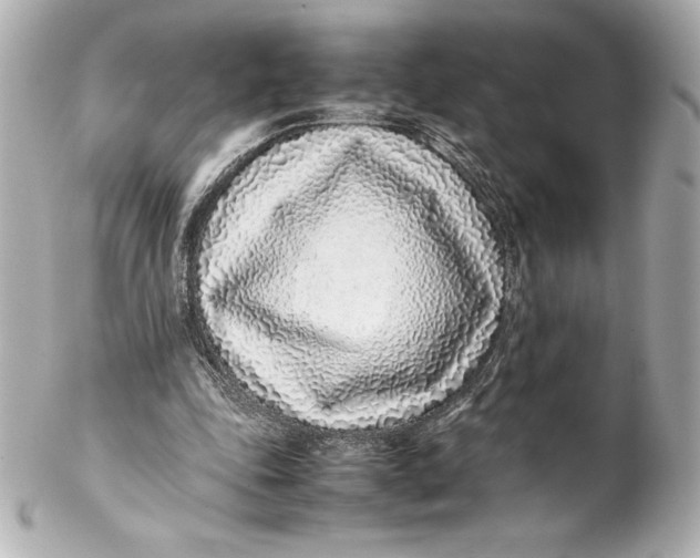 X0000102270343200808151909