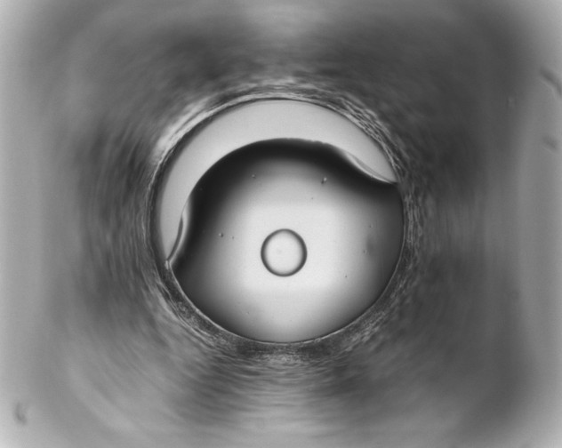 X0000102270344200808151909