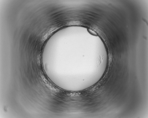 X0000102270345200808151909