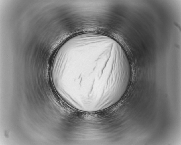 X0000102270346200808151909