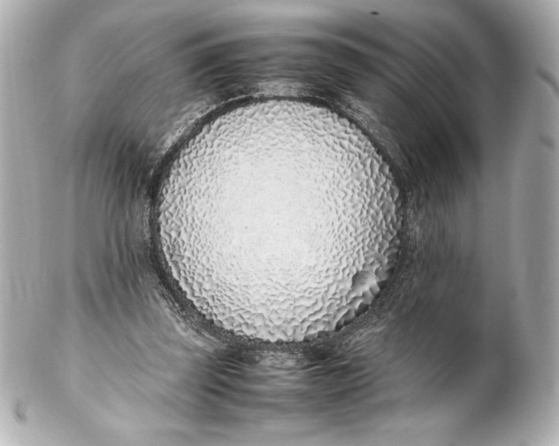 X0000102270347200808151909