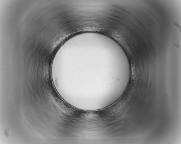 X0000102270348200808151909