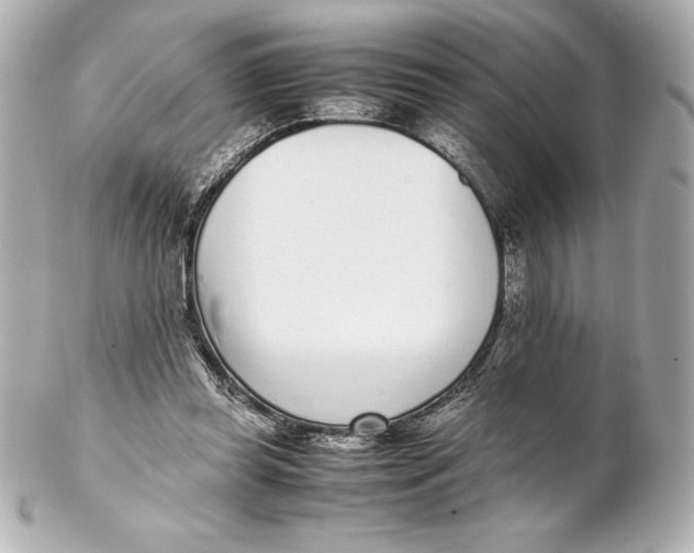 X0000102270349200808151909