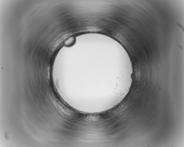 X0000102270350200808151909