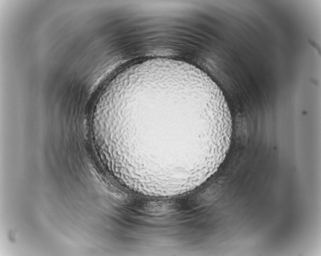 X0000102270351200808151909