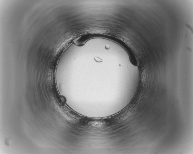 X0000102270352200808151909