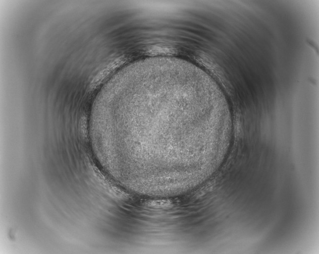 X0000102270353200808151909