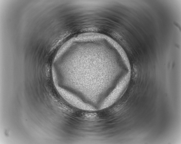 X0000102270355200808151909