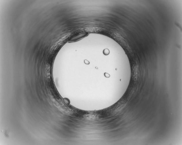 X0000102270356200808151910