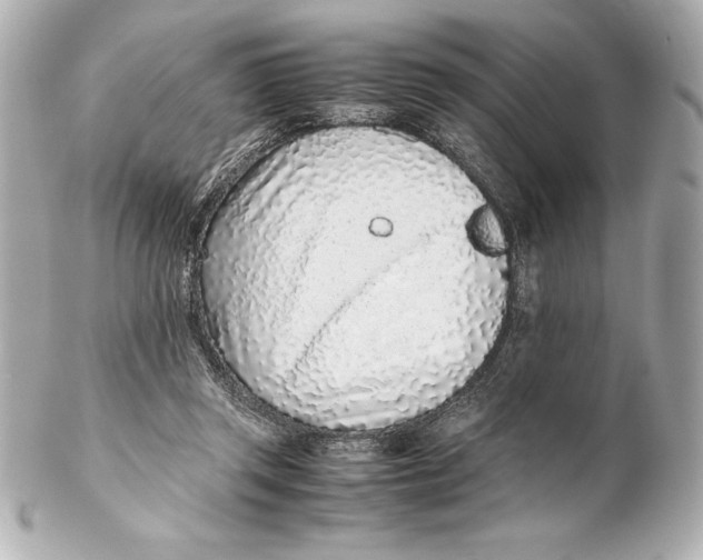 X0000102270357200808151910