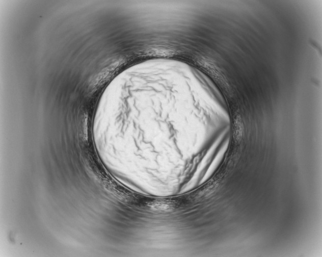 X0000102270358200808151910