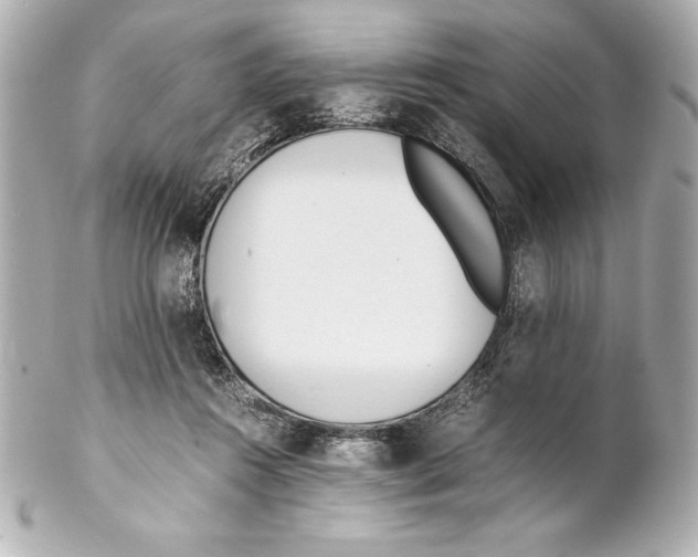 X0000102270360200808151910