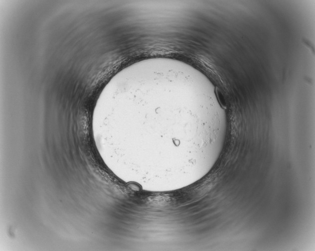 X0000102270362200808151910