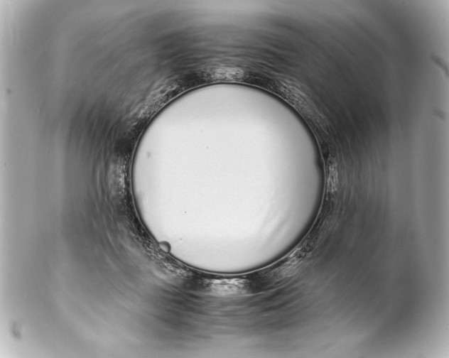 X0000102270363200808151910