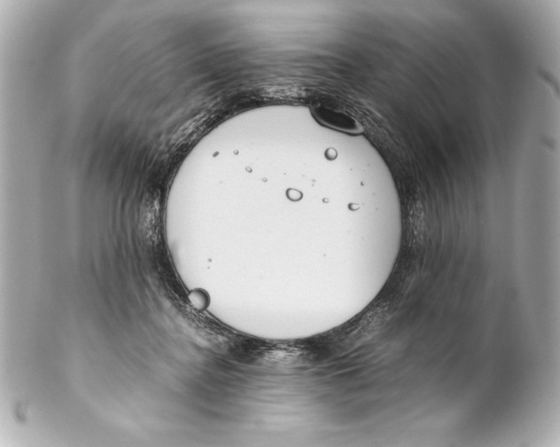 X0000102270364200808151910