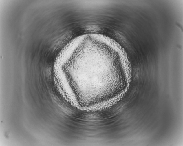 X0000102270365200808151910