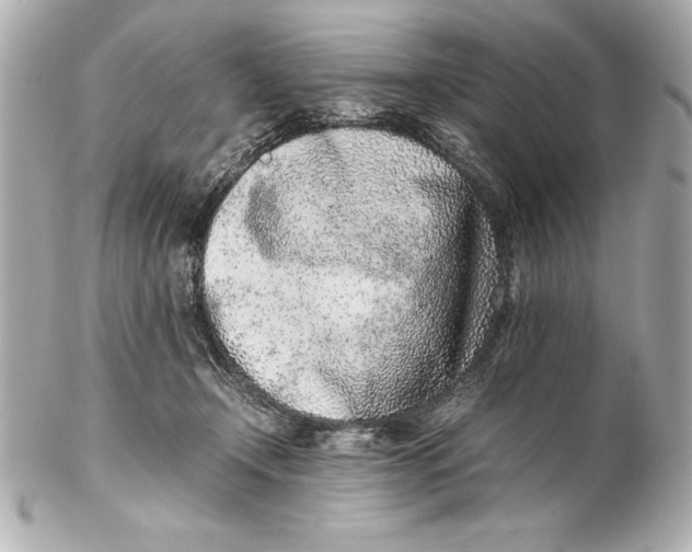 X0000102270366200808151910