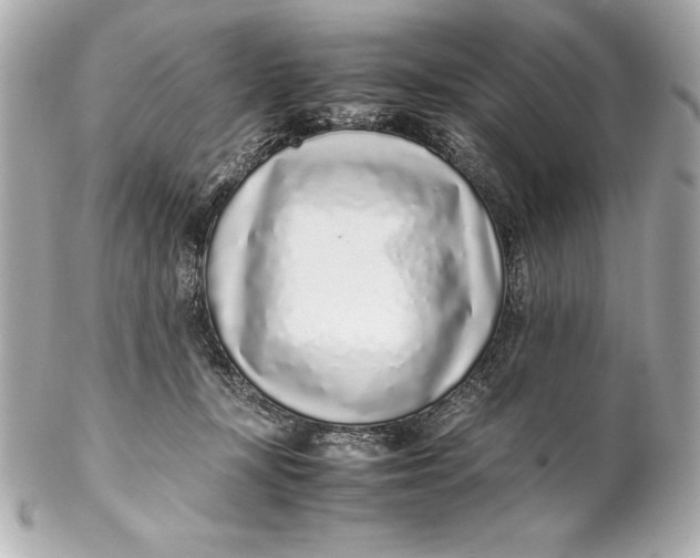 X0000102270367200808151910