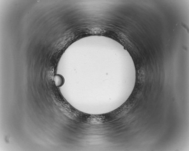 X0000102270368200808151910