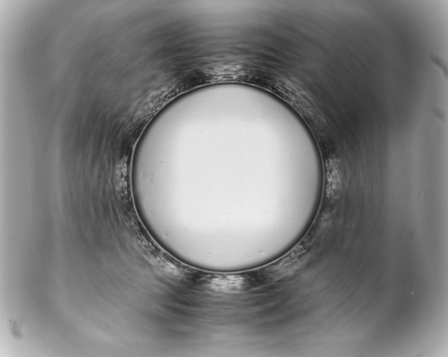 X0000102270369200808151910