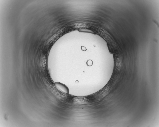 X0000102270372200808151910