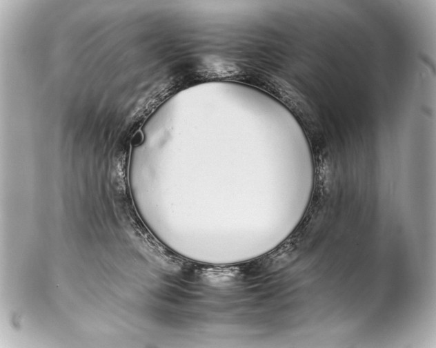 X0000102270373200808151910