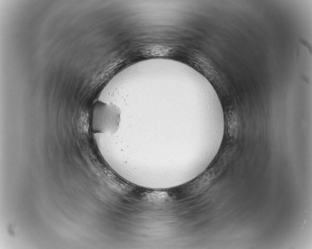 X0000102270374200808151910