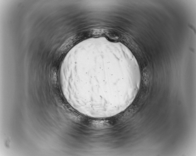 X0000102270375200808151910