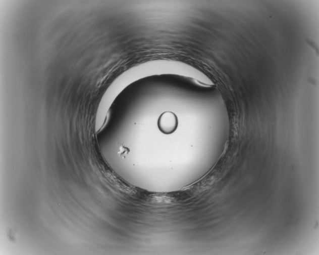 X0000102270376200808151910