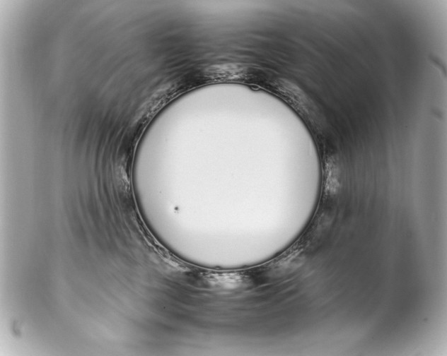 X0000102270377200808151910