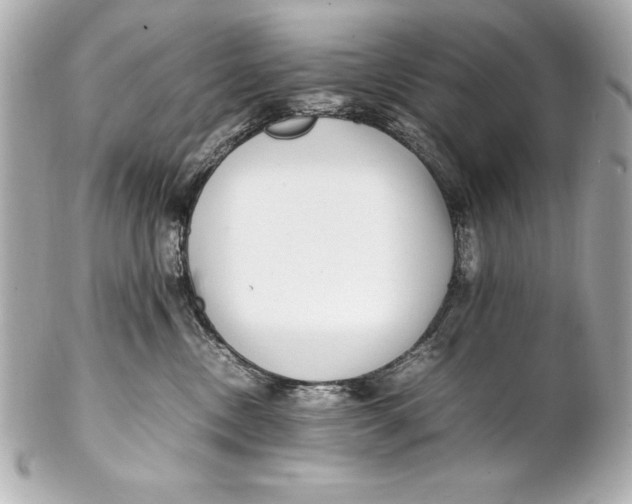 X0000102270378200808151910