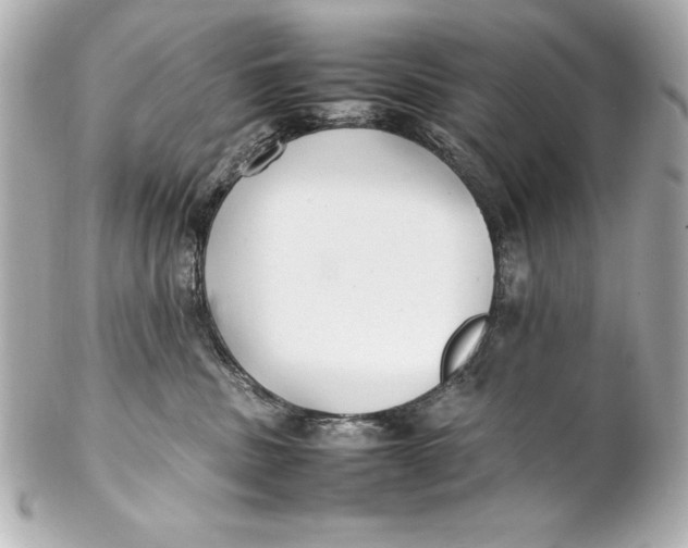 X0000102270379200808151910