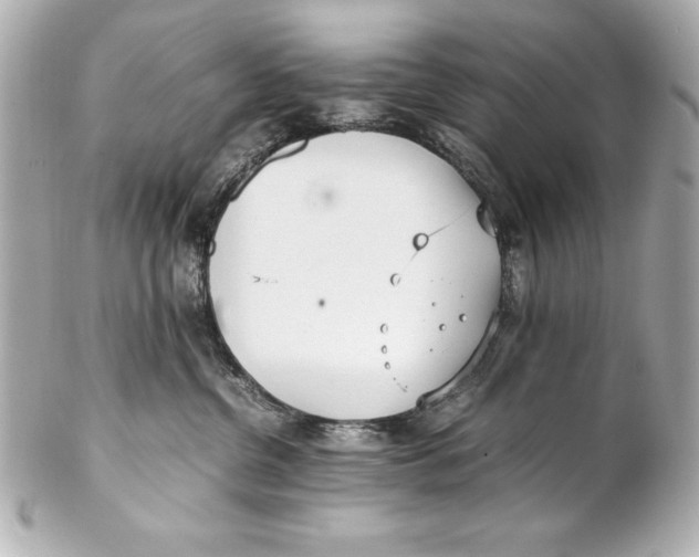 X0000102270380200808151910