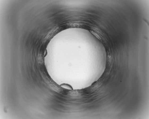 X0000102270381200808151910