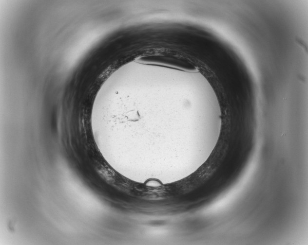 X0000102270382200808151910