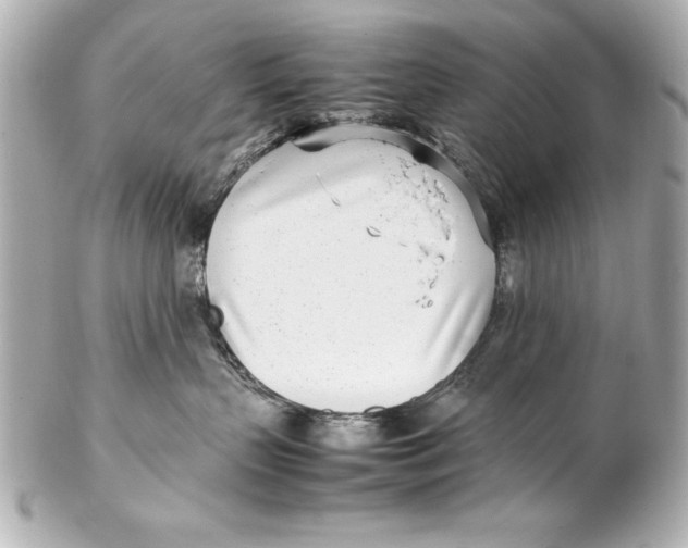 X0000102270383200808151910