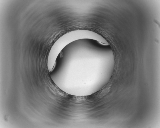 X0000102270384200808151910