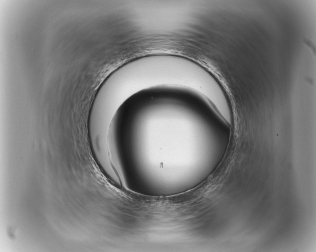 X0000102270385200808151909