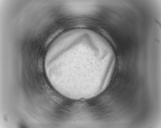 X0000102270386200808151909