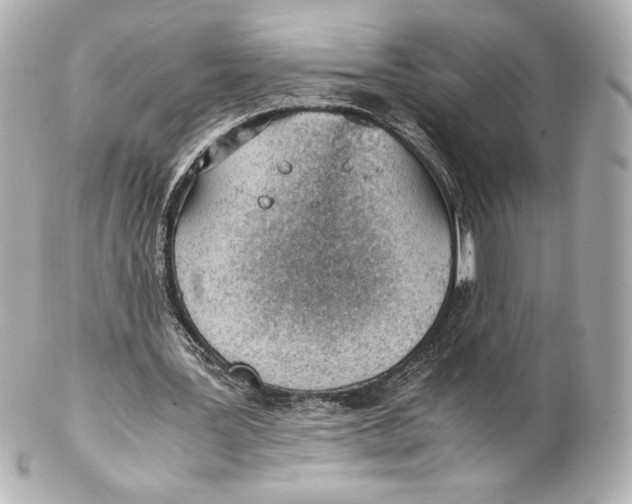 X0000102270387200808151909