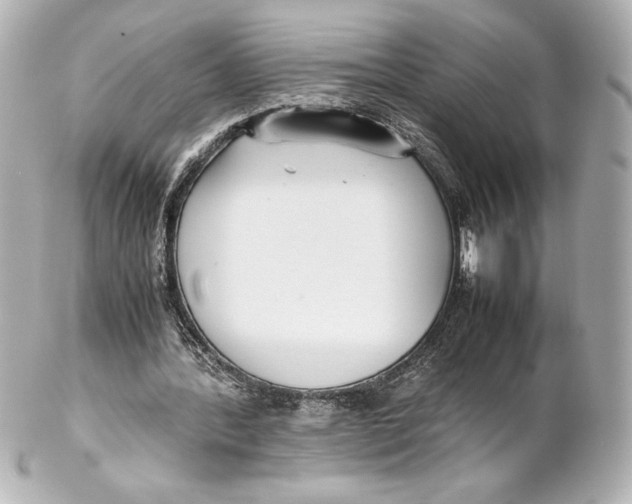 X0000102270388200808151909