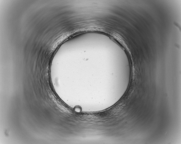 X0000102270389200808151909