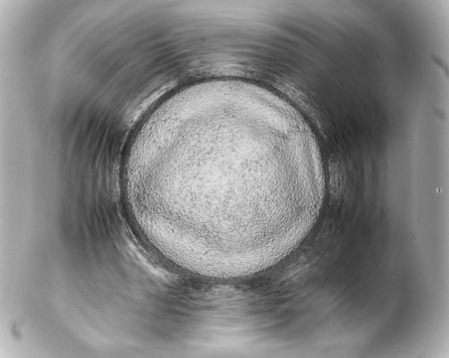 X0000102270390200808151909