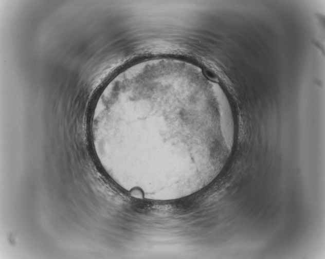 X0000102270391200808151909