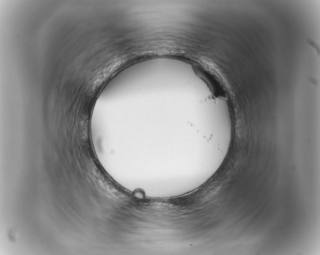 X0000102270393200808151909