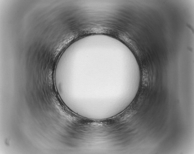 X0000102270394200808151909