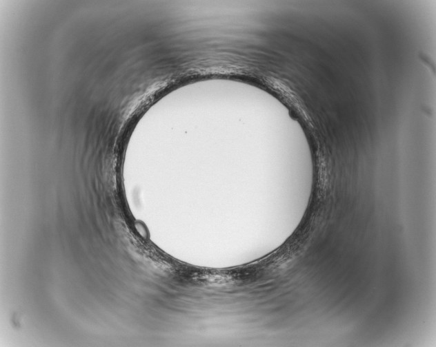 X0000102270395200808151909